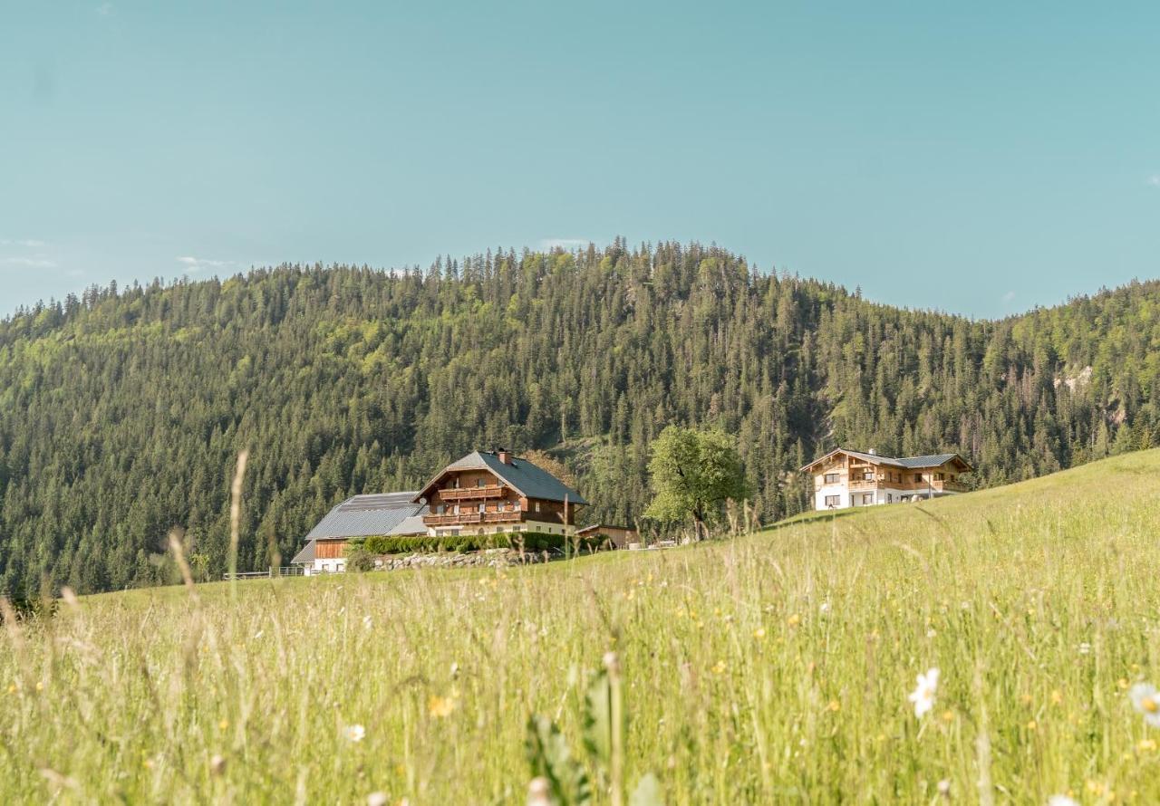 Bio Bauernhof Oberhinterberg Appartement Annaberg im Lammertal Zewnętrze zdjęcie