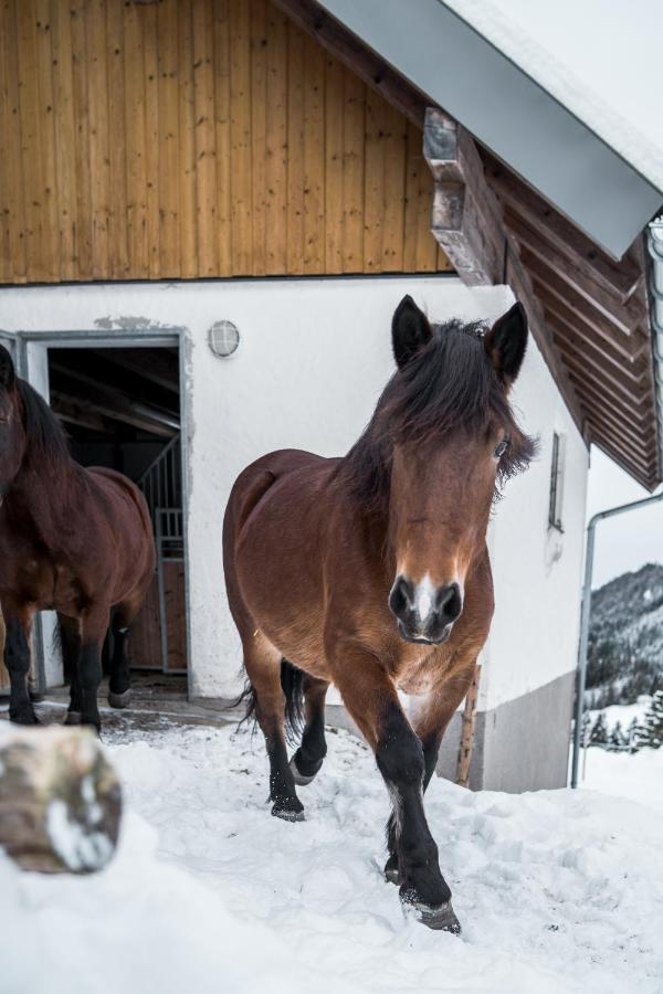 Bio Bauernhof Oberhinterberg Appartement Annaberg im Lammertal Zewnętrze zdjęcie